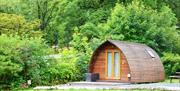 Glamping pods and woodlands at Waterfoot Park in Pooley Bridge, Lake District