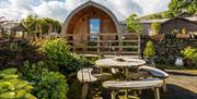 The Glamping Pod at Mosedale End Farm