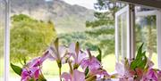 Flowers and Scenery Viewed from a Window at Glaramara Hotel in Seatoller, Lake District