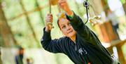 Child on a Treetop Challenge at Go Ape in Grizedale Forest in the Lake District, Cumbria