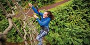 Visitor Climbing a Rope Ladder at Go Ape in Grizedale Forest in the Lake District, Cumbria