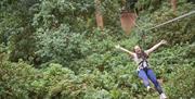 Visitor on the Zipline at Go Ape in Grizedale Forest in the Lake District, Cumbria