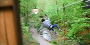 Visitor Ziplining through the Forest at Go Ape in Grizedale Forest in the Lake District, Cumbria