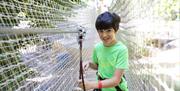 Child on a Treetop Challenge at Go Ape in Whinlatter Forest Park in Braithwaite, Lake District