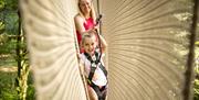 Family Climbing Across a Net at Go Ape in Whinlatter Forest Park in Braithwaite, Lake District