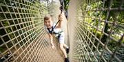 Child on a Treetop Challenge at Go Ape in Whinlatter Forest Park in Braithwaite, Lake District