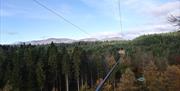 Ziplines at Go Ape Grizedale in Grizedale Forest, Lake District