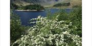 Haweswater Reservoir in the Lake District, Cumbria © Spike Webb