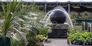 Outdoor Plants and Fountain at Hayes Garden World in Ambleside, Lake District