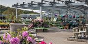 Outdoor Plants at Hayes Garden World in Ambleside, Lake District