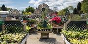 Outdoor Plants for Sale at Hayes Garden World in Ambleside, Lake District