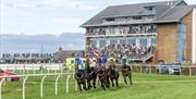Racehorses and jockeys racing at Carlisle Racecourse in Carlisle, Cumbria
