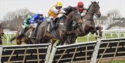 Racehorses and jockeys hurdling during a race at Carlisle Racecourse in Carlisle, Cumbria