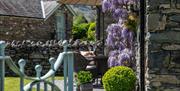 Patio seating and wisteria outside Stone Cottage in Patterdale, Lake District
