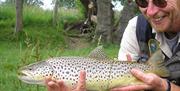 Wild Trout fishing in the Lake District, Cumbria with Hemmingways Fishing