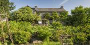 Exterior and gardens at Hill Top, Beatrix Potter's House in Near Sawrey, Ambleside, Lake District