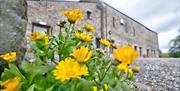 Outside the barn - Howgills Barn
