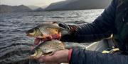 Visitor posing with fish caught on a fishing trip with West Pennine Angling Solutions in the Lake District, Cumbria