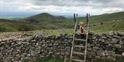 Mountain Walking with Adventure Vertical in Cumbria