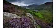 Scenic Lake District photo by Jonny Gios Photography