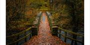 Scenic Lake District photo by Jonny Gios Photography