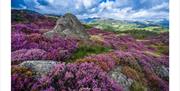 Scenic Lake District photo by Jonny Gios Photography