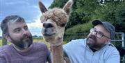 Visitors with an alpaca from King Garth Alpacas in Burgh-on-Sands, Cumbria