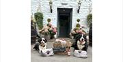 Dogs with dog hamper at The King's Head in Ravenstonedale, Cumbria