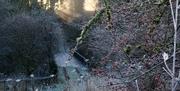 Track leading to the cottage at Keepers Cottage in Ivegill, Cumbria