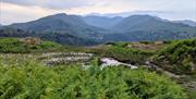 Scenic Lake District Views with Kelker Well Walks