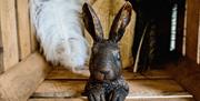 Peter Rabbit Decorative Statue at Lindeth Howe in Bowness-on-Windermere, Lake District