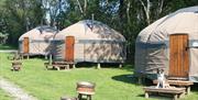 Dog Friendly Yurts at Long Valley Yurts, Keswick, Lake District