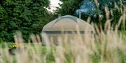 Yurts at Long Valley Yurts, Witherslack, Lake District
