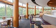 Panoramic Views from Dining Room at The Cafe at Lakeland in Windermere, Lake District