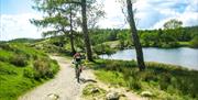 Lakes Epic Mountain Bike Tour from Saddle Skedaddle