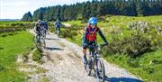 Lakes Epic Mountain Bike Tour from Saddle Skedaddle
