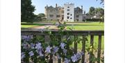 Flowers in bloom at Levens Hall & Gardens in Levens, Cumbria