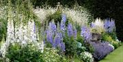 Seasonal Flora at Levens Hall & Gardens, in Levens, Cumbria