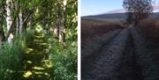 Scenic walks near The Barn at Linden Farm House in Langwathby, Cumbria
