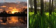 Sunset over a lake and budding flowers near The Barn at Linden Farm House in Langwathby, Cumbria