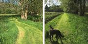 Nearby walks at The Cottage at Linden Farm House in Langwathby, Cumbria