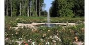 The Rose Garden at Lowther Castle & Gardens in Lowther, Lake District