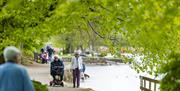 Accessible walking routes at Fell Foot in Newby Bridge, Lake District