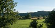 Views of Hills and Fields near Moss Howe Farm Campsite in Witherslack, Lake District