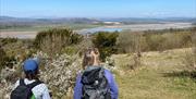 Arnside Knott with NaturesGems Wildlife Tours in Morcombe Bay