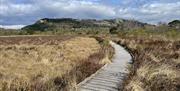 Foulshaw Moss with NaturesGems Wildlife Tours in Morcombe Bay