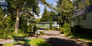 Green spaces at Newby Bridge Country Caravan Park in Newby Bridge, Lake District