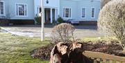 Dogs at the Dog Friendly Overwater Hall Hotel in Ireby, Cumbria