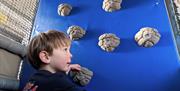 Children's Climbing Wall at Outside In Cumbria in Kendal, Cumbria