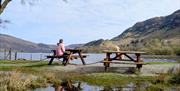 Visitor and Dog Taking in Lake District Scenery near The Estate in Glenridding, Lake District